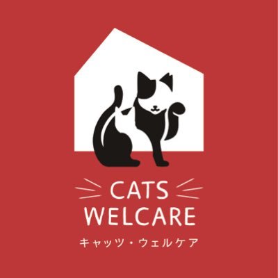 京セラドーム徒歩7分の猫シェルターです。猫を救う非営利組織です。可愛い保護猫がご縁を待っています。高齢者譲渡もしています。猫と遊びたい方も猫助けのため是非ご来店下さい。里親募集/子ネコ保護/TNR。ご支援はこちらからお願いしますhttps://t.co/figyrGtolj