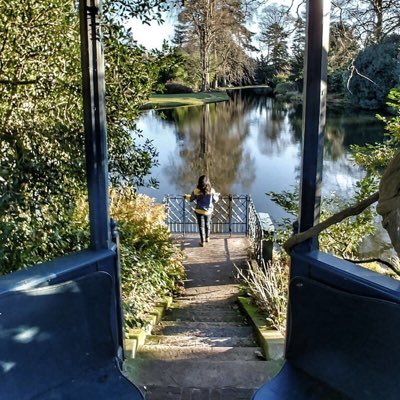 TweetToPutchan's profile picture. My second account since the first one is gone🧸