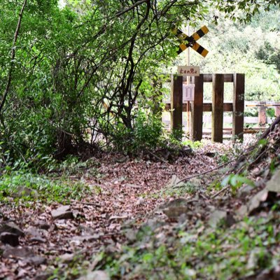 LL4364's profile picture. ETCゲートをギリギリで通過するのも趣味です