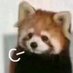 ffffff哈哈哈哈 (@ffffff41310997) Twitter profile photo ffffff哈哈哈哈 (@ffffff41310997) Twitter profile photo