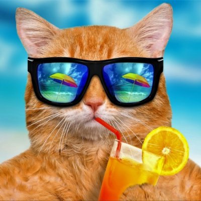 Citizen_MM's profile picture. Schrödinger's cat's cousin. Possibly funny, possibly snarky. No one knows for sure.