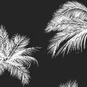 jae'elle - @jl_lozano3 - Twitter