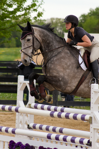 McIntyre Stables is situated in the heart of Batavia, IL. We offer top quality lessons, sales, & training in hunters and jumpers.