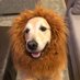 Norm MacD (@norm_macd) Twitter profile photo Norm MacD (@norm_macd) Twitter profile photo