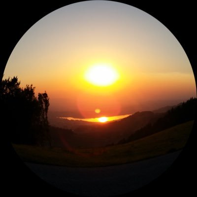 dreamer_mese's profile picture. 