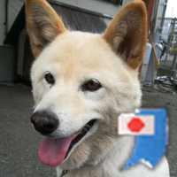 はなちゃん🫠 (@twidemohanachan) Twitter profile photo