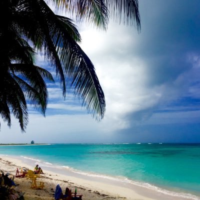 _JimMurphy_'s profile picture. Travel, golf, food