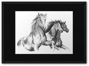 Hi, Welcome to Equine Art's twitter page.  I am a UK based and globally known Equine Artist, specializing in charcoal drawings of beautiful horses.