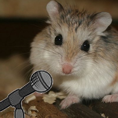 Into amateur radio? Live in Essex? Got a sense of humour? Welcome aboard! DM us your ham radio news, views and gossip, and we'll help bring Essex together.