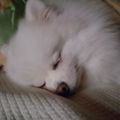 kloudyiさんのプロフィール画像