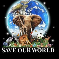 dendrez (@dendresner) 's Twitter Profile