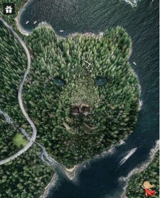 flmzy15's profile picture. CRYRTO EXCHANGE