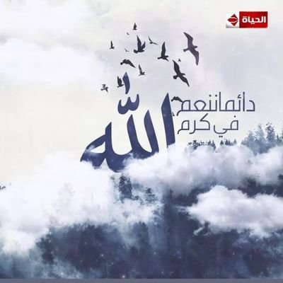 FargHanady's profile picture. 