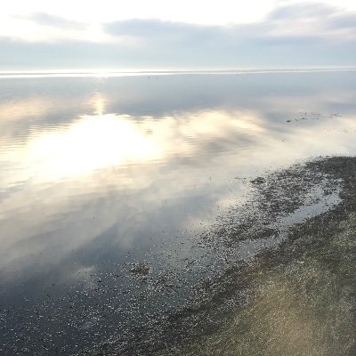 ecologyukraine's profile picture. Офіційний Твіттер Національного Екологічного Порталу України / Official Twitter of the National Ecological Portal of Ukraine