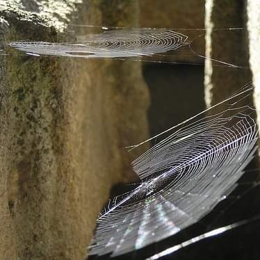 juliafdzs's profile picture. Lengua, Literatura, Libros