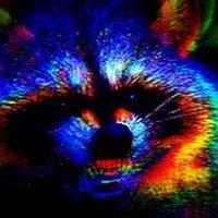Woke Racc (@woke_racc) 's Twitter Profile