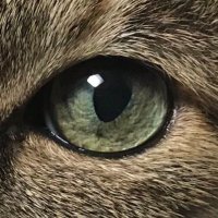 川杉次郎 (@kawasugijiro) 's Twitter Profile Photo 川杉次郎 (@kawasugijiro) 's Twitter Profile Photo
