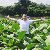 Nick Hammond (@nick_h_writer) 's Twitter Profile Photo