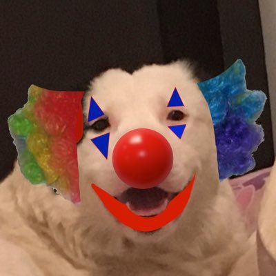 KalebDickinson's profile picture. I was born and raised in a circus so you’ll have to excuse my stupid