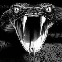 TheV1per (@thev1pertv) 's Twitter Profile Photo