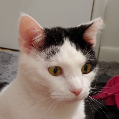 mjfergus's profile picture. 