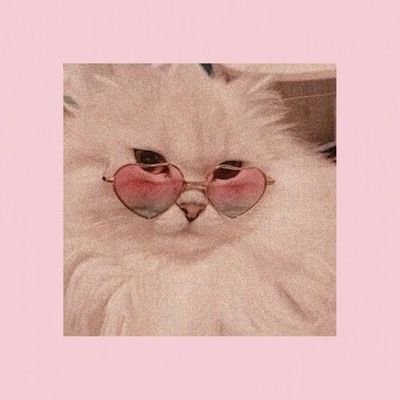 angeliicajane's profile picture. hey hey you you |

sag☼ aquarius ↑ aries ☽ |

she/her☆