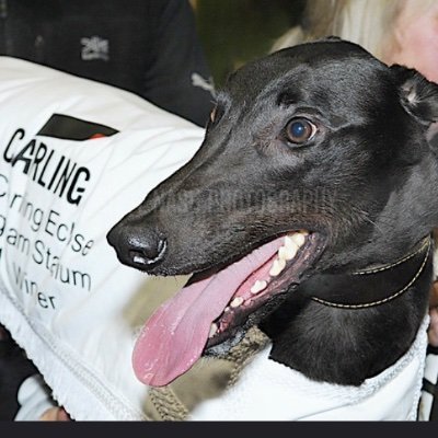 I'm the dog of a lifetime for owner Dave Spraggon & trainer Jimmy Fenwick.I've won the Puppy Classic,Eclipse & All England Cup with many more Cat 1's to come ;)