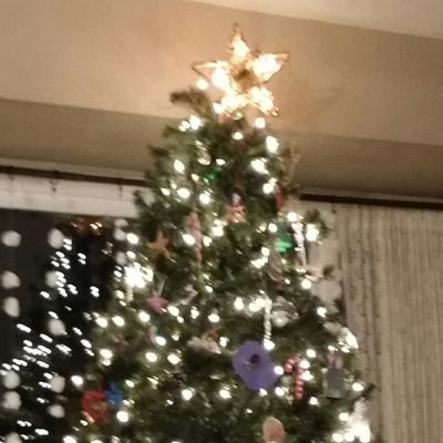 GidgetHackett's profile picture. Expert cat ear massager