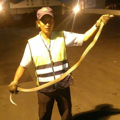 ba842420's profile picture. 喜歡玩遊戲，養烏龜的中年大叔！