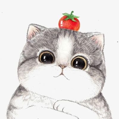 A cat with an opinion that likes tomatoes or apples. Whichever.