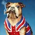 The Churchill Dog (@Unionist2552) Twitter profile photo