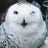 lilylis80544455's profile image