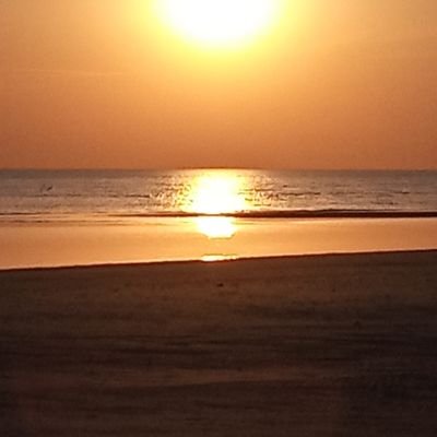 Summer202016's profile picture. Me gusta la playa el sol y los desafíos