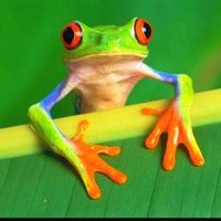 Merton Biology (@mertonbiology) 's Twitter Profile Photo Merton Biology (@mertonbiology) 's Twitter Profile Photo