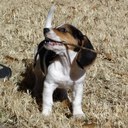 Austin Pollard - @austinpollard - Twitter