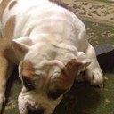 Byron Troy Dalton - @mississippitroy - Twitter