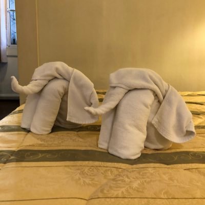 tecomi_chan's profile picture. ぶらぶ〜らと生きています。音楽聞いて本読んで、基本的に人見知り。PAO & H.M.でエビバデ。