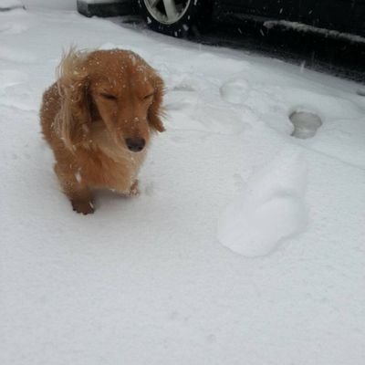 ZO8WaYg7tiw6UNs's profile picture. 長男3年生。迷いに迷って園の担任•児発の先生達のアドバイスもあり通常級へ。薄めのASD→こだわりなし。けど人にそんなに興味がないとか📷目線苦手とか。知的境界。手帳持ち。過敏多動他害ないが、集中力持続しない。体幹弱め。次男年長。卵アレルギーの好き嫌い魔神。母は時短正社員リモートワーク。 ＃療育