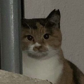 lGBzCI6qYio6AK6's profile picture. 令和ロマン現象を見届ける・くるま担。オードリー推し・バヤシスト。たりないふたり推し・若林担。信頼してるよ佐久間さん。読書好き。