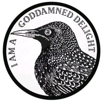 bayareabravo's profile picture. Atheist and queer. I retweet other's socialist posts, some queer porn, and occasionally my direct opinions. That's it