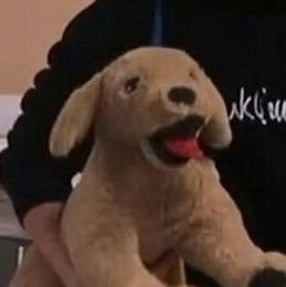 callmesadg's profile picture. 