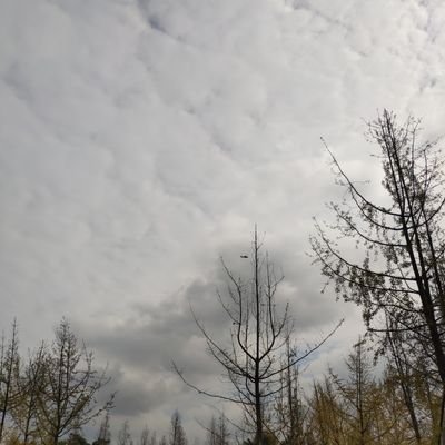 Code is Law/Web3 builder/Geeker
https://t.co/cFmcZBYb97