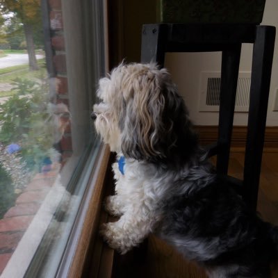 juniorb241978's profile picture. Father, Husband, Coach and fan of a lot of different things!