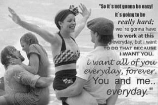 Quotes from the amazing book and movie, The Notebook. I follow back. :)