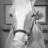 Imahorse's profile image