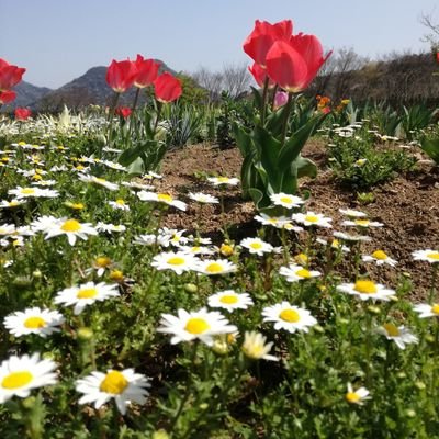 bazzineee's profile picture. 主にヴァルコネ　ロマサガRS  モンスト　ギラヴァンツ　その他趣味に伴うネタとか暇なときに適当に
無言フォロー失礼します