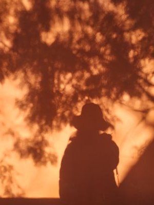 iris82184195's profile picture. 