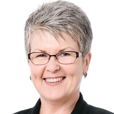Non-Executive Director | Governance and Program Management