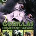 Gorillas Homeland Safaris (@gorillasafaris) Twitter profile photo