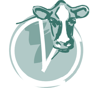 Rundvee advies voor melkveehouders rond melkveevoeding en economie.